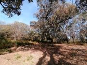 Terreno en Venta en Gaucín