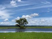 Terreno en venta en General Máximo García El Pino,...