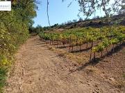 Terreno en Venta en Gerena