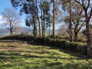 Terreno en Venta en Gijón