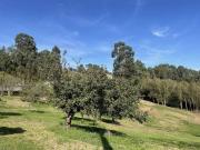 Terreno en Venta en Gijón