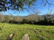 Terreno en Venta en Gijón