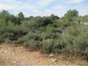 Terreno en Venta en Godelleta