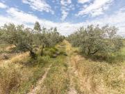 Terreno en Venta en Gójar