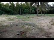 Terreno en venta en Graciano Sánchez Romo, Boca del Río,...