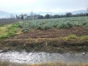 Terreno en Venta en Granada