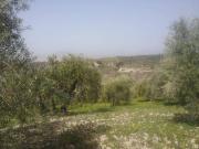 Terreno en Venta en Granada