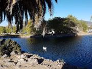 Terreno en venta en Grand Juriquilla, Querétaro