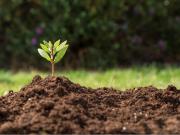 Terreno en venta en Grand Preserve, Querétaro