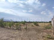 Terreno en Venta en Granjas Campestre del Bosque,...