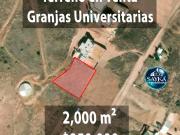 Terreno en Venta en Granjas Universitarias