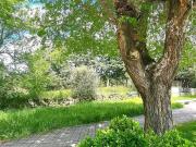 Terreno en Venta en Guadalix de la Sierra