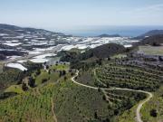 Terreno en Venta en Gualchos