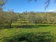Terreno en Venta en Guaro