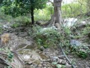 TERRENO EN VENTA EN GUERRERO ¡EXCELENTE OPORTUNIDAD DE...