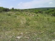 TERRENO EN VENTA EN HACIENDA AMAZCALA