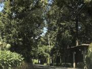 Terreno en venta en Hacienda Jajalpa