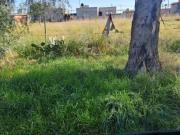 TERRENO EN VENTA EN HARDING GREEN