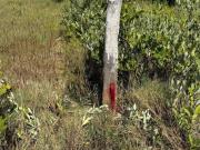 TERRENO EN VENTA EN HOLBOX CANCÚN