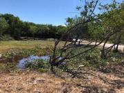 Terreno en Venta en Holbox, Quintana Roo