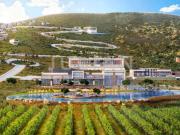 Terreno en venta en Huachichil El Huache, Arteaga,...