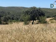 Terreno en Venta en Huelva