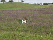 Terreno en Venta en Huelva