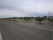 Terreno en Venta en Huércal Overa