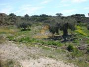 Terreno en Venta en Huércal Overa
