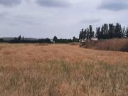 Terreno en Venta en Humanes