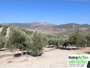 Terreno en venta en Íllora