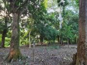 TERRENO EN VENTA EN IXTACOMITAN 5TA SECCION