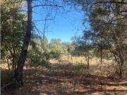 Terreno en venta en Jábaga