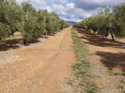 Terreno en Venta en Jaén