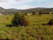 Terreno en Venta en Jame, Arteaga, Coahuila de Zaragoza