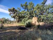 Terreno en Venta en Jarandilla de la Vera