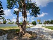 Terreno en venta en Jardín Real, fraccionamiento con...