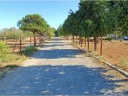 Terreno en Venta en Jerez de la Frontera