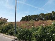 Terreno en Venta en Jerez de la Frontera