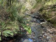 TERRENO EN VENTA EN, JILOTZINGO EDO. MEX