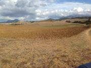 Terreno en venta en Jimena de la Frontera, Jimena De La...