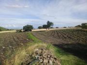 Terreno en venta en Jofre, Querétaro