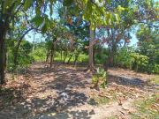 Terreno en venta en Jorge Díaz Serrano, Comalcalco, Tabasco