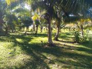 TERRENO EN VENTA EN JUAN SARABIA