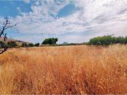 Terreno en Venta en Jumilla