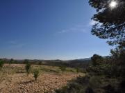 Terreno en Venta en Jumilla