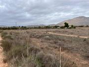 Terreno en Venta en Jumilla