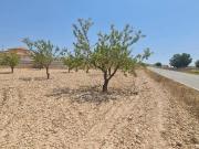 Terreno en Venta en Jumilla