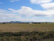 Terreno en Venta en Jumilla