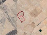 Terreno en Venta en Jumilla